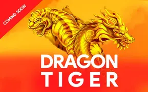 dragon tiger app development, application development